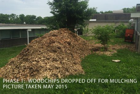 food forest wood chip pile