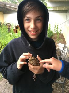 permaculture kids