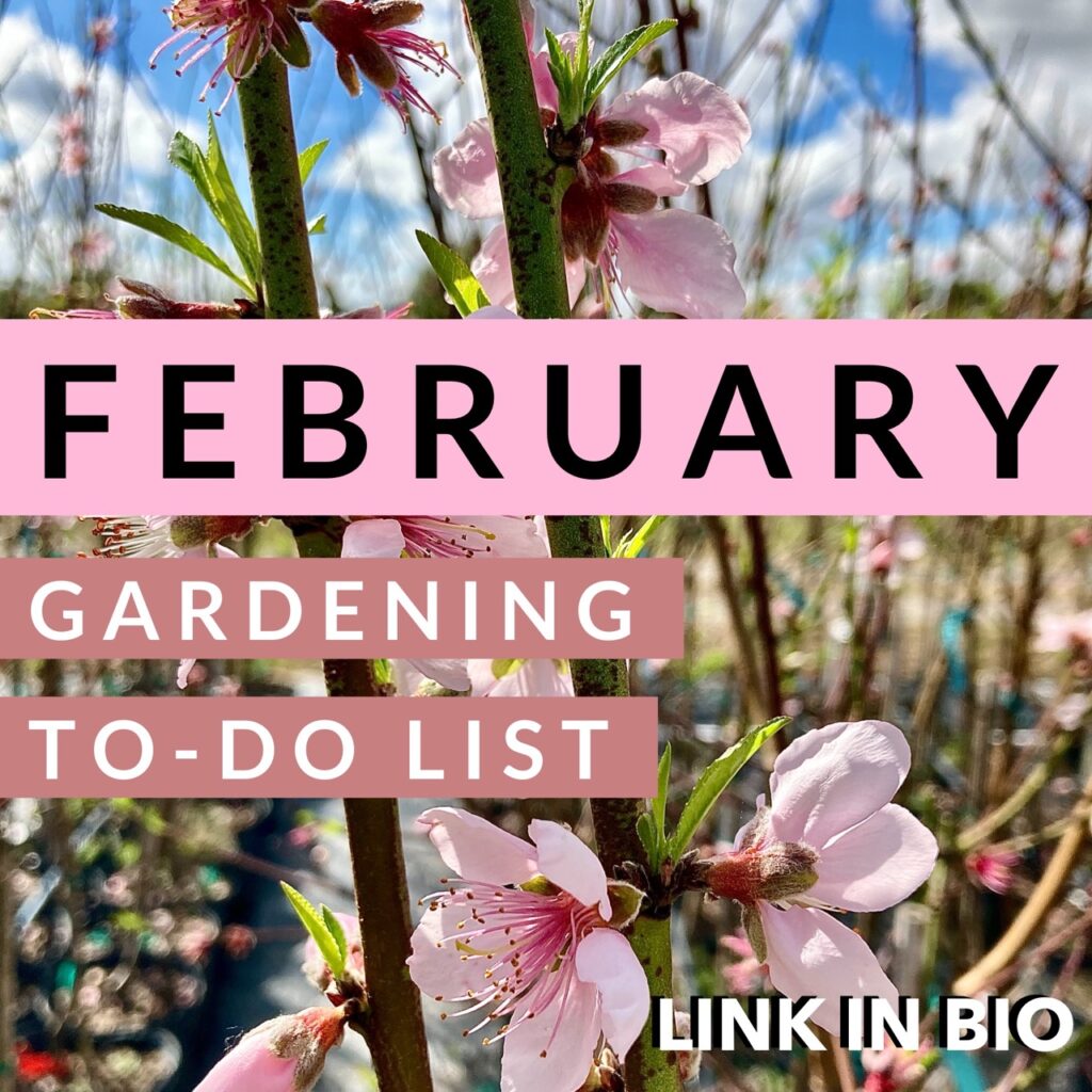February Garden To Do List