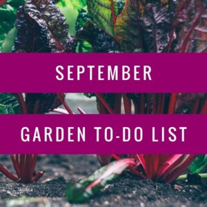 September Garden to do list
