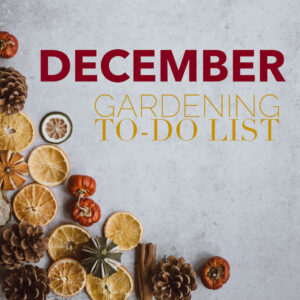 December Gardening List