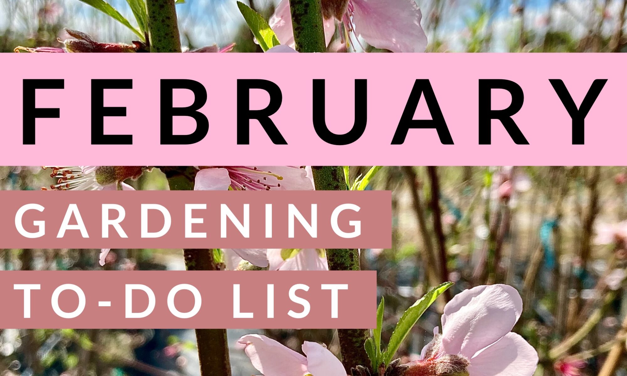 february garden calendar