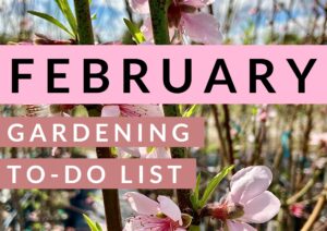 february garden calendar